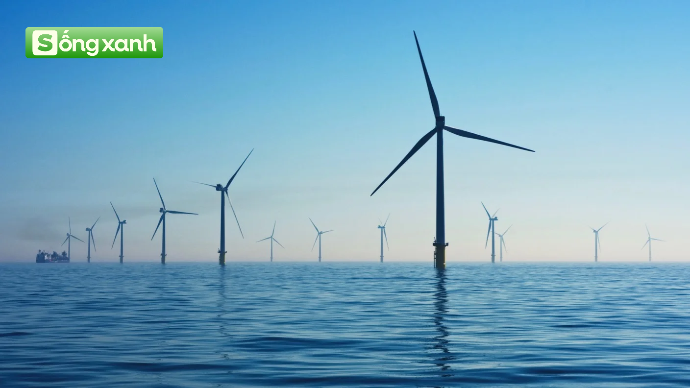 edit-wind-turbines-offshore-ocean-17392663804371390602980-1739492610213-1739492610281372648355.png