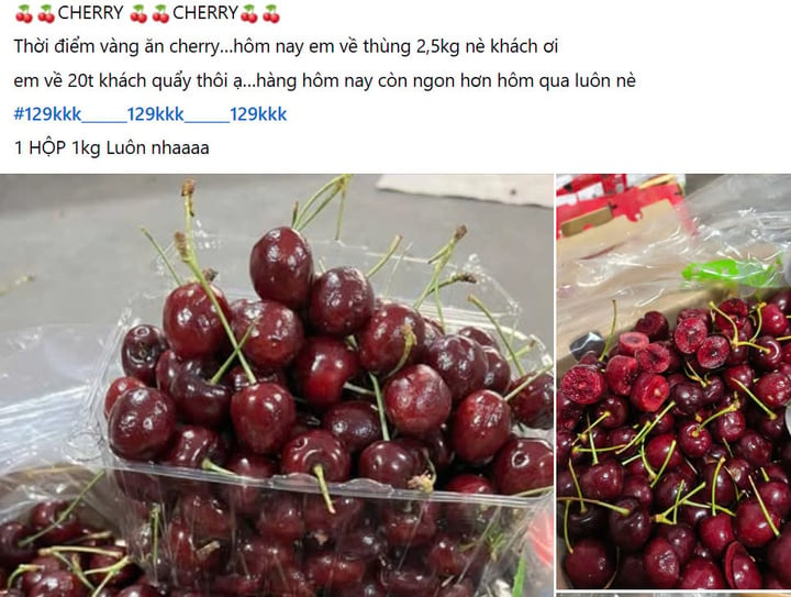 Cherry rẻ không ngờ bán khắp nơi, giá chỉ 120 -130 nghìn đồng/kg - Ảnh 2.