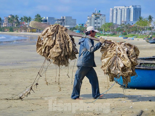 'Bỏ túi' bộn tiền với nghề 5h xuống biển, 10h lên bờ - Ảnh 3.