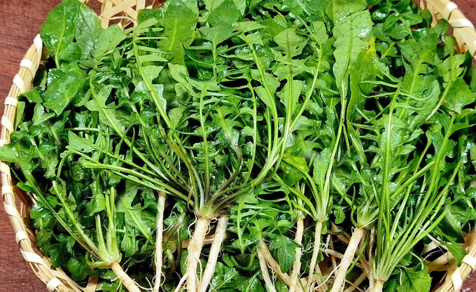 Món ngon khó cưỡng từ loại rau không tốn 1 xu, có nhiều mùa Xuân cực tốt cho sức khỏe- Ảnh 3. Món ngon khó cưỡng từ loại rau không tốn 1 xu, có nhiều mùa Xuân cực tốt cho sức khỏe- Ảnh 3.