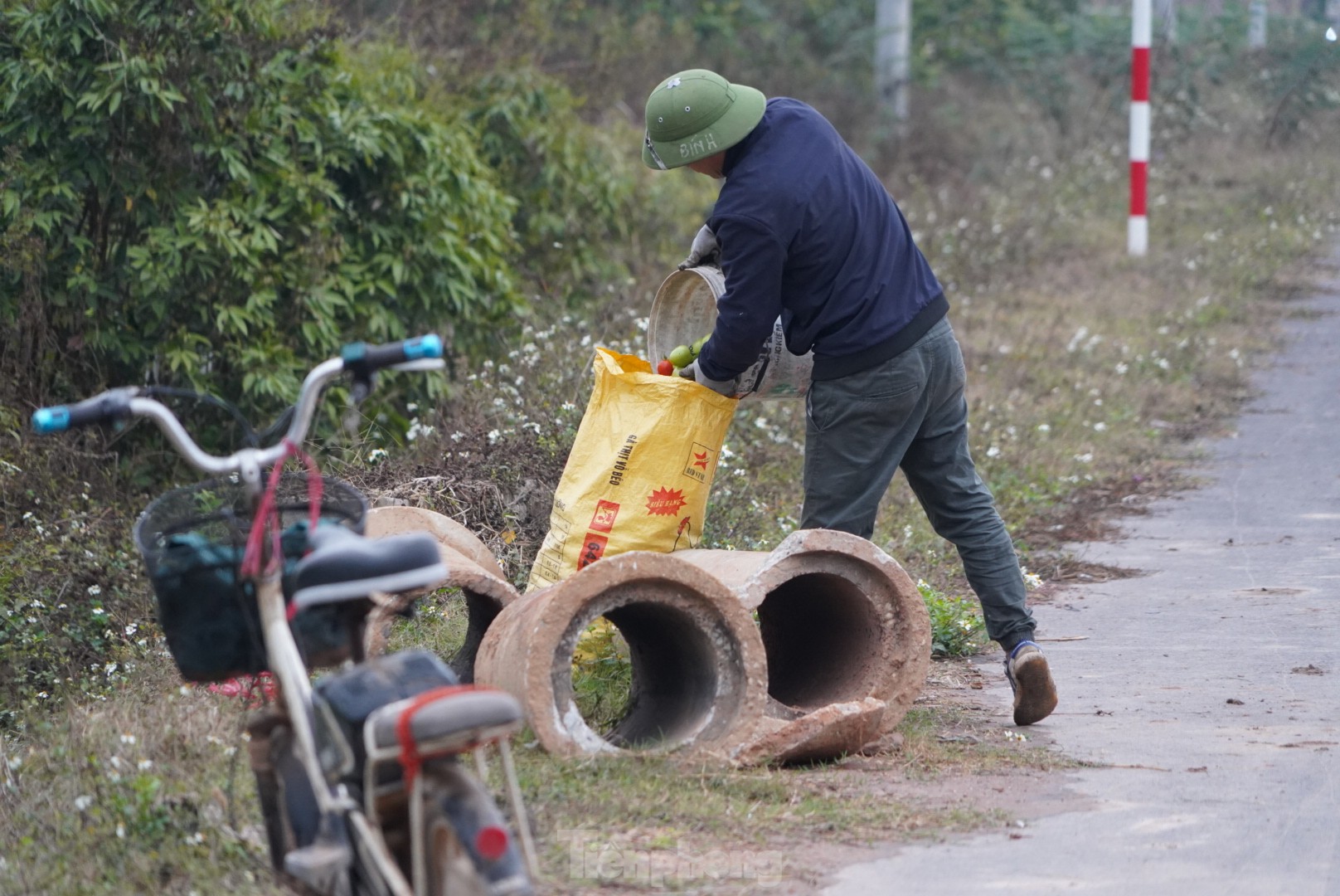 Hàng chục tấn cà chua chín đầy vườn không người mua - Ảnh 10.