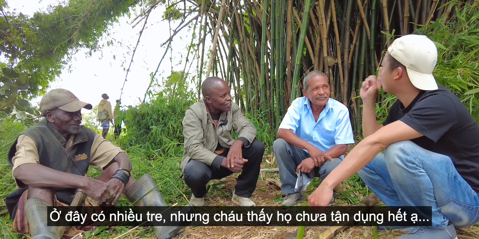 'Sản vật' trồng khắp Việt Nam từ gốc đến ngọn đều hái ra tiền, sang châu Phi thành của lạ khiến trưởng công an huyện phải thốt lên: 