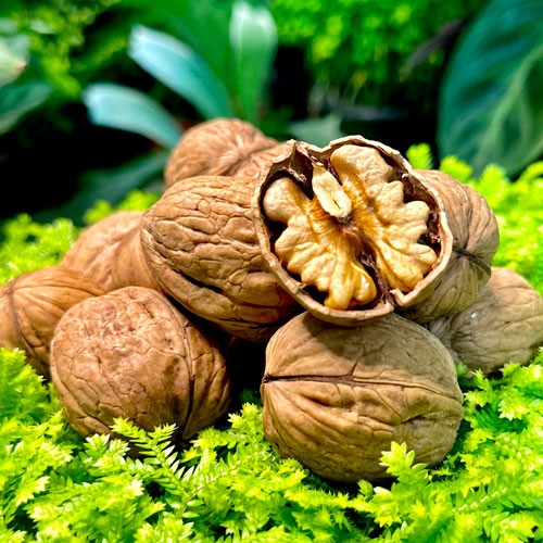 6 loại thực phẩm cải thiện suy giảm trí nhớ- Ảnh 1. Organic-Walnuts-in-shell