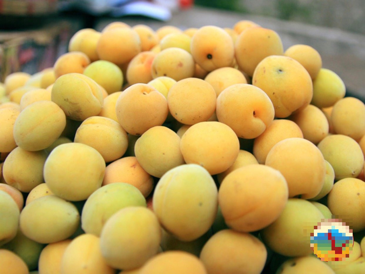 Uma fruta chamada  Một loại quả mang tên 'thần dược mùa xuân' giúp ngăn ngừa ung thư đại tràng được bán đầy ở chợ Việt - Ảnh 2.