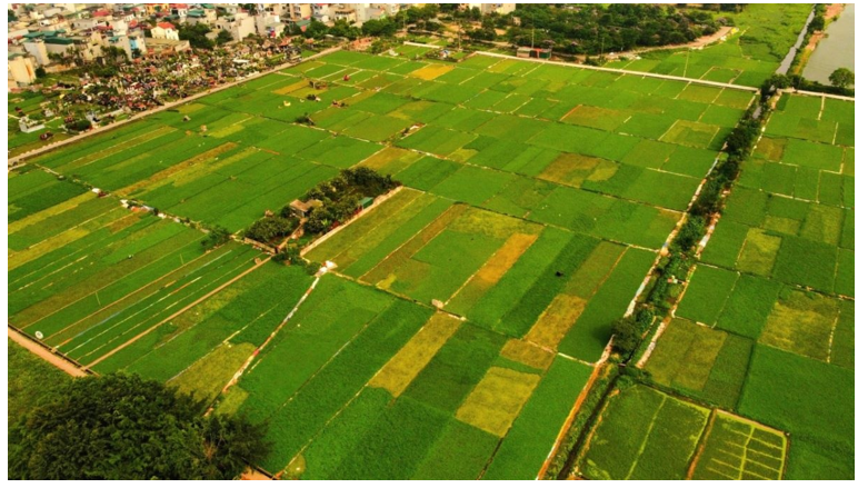 Những cách xác minh tình pháp lý nhà, đất khi tiến hành mua bán - Ảnh 1.