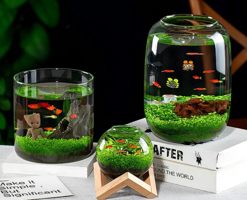 Vật phẩm phong thủy phòng khách giúp 12 con giáp chiêu tài lộc - Ảnh 12.