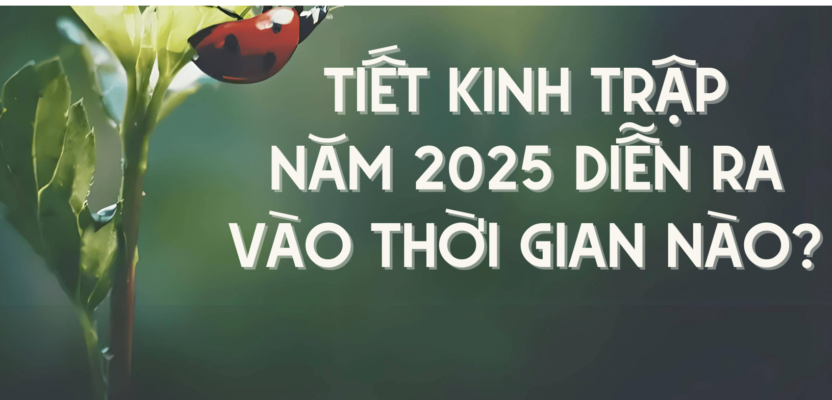 Tiết Kinh Trập 2025 kéo dài tới khi nào? Điều nên làm trong tiết Kinh Trập để thu hút may mắn - Ảnh 3. Tiết Kinh Trập 2025 kéo dài tới khi nào? Điều nên làm trong tiết Kinh Trập để thu hút may mắn - Ảnh 3.