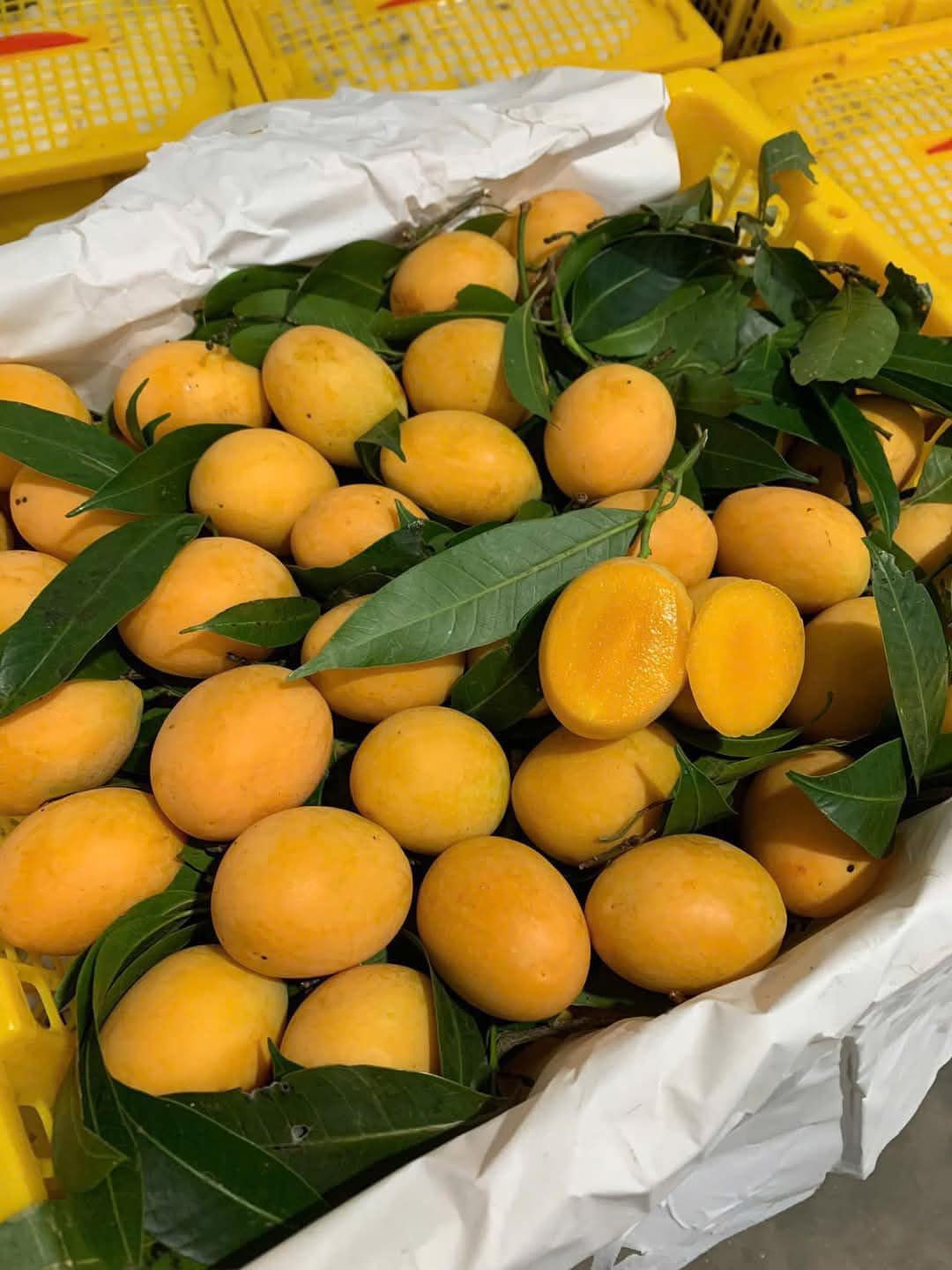 Loại quả được ví như thuốc bổ bán đầy chợ Việt giá chỉ vài chục nghìn đồng/kg- Ảnh 7.