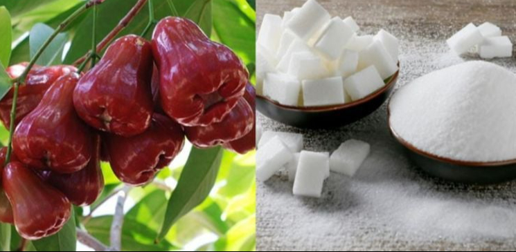 Bỏ túi cách làm 2 món mứt hoa quả ngọt ngon, siêu dễ tại nhà- Ảnh 3.
