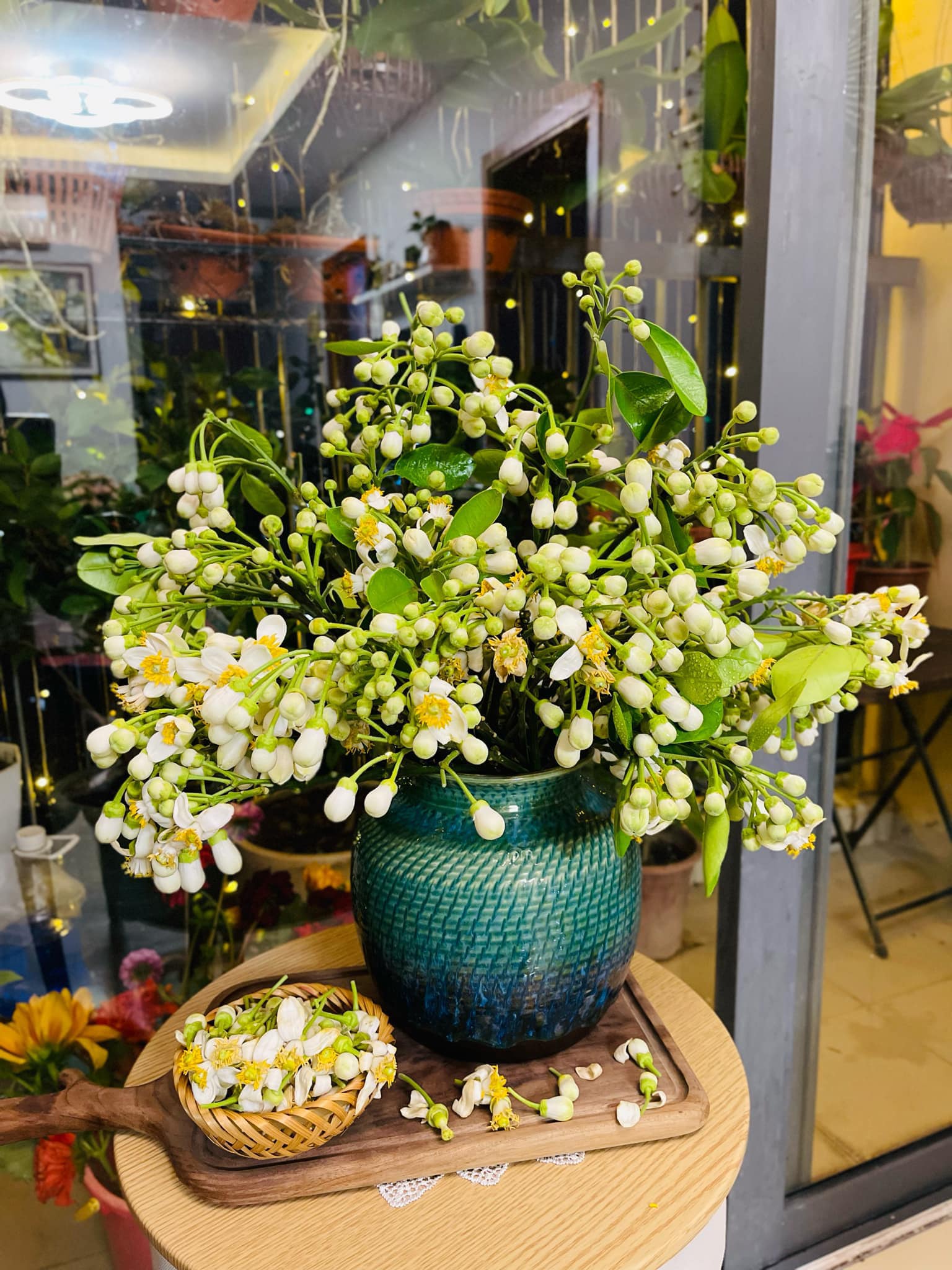 Mãn nhãn những cách cắm hoa bưởi đẹp mê li, thơm phức đầy sinh khí, giúp bạn luôn dồi dào năng lượng và vượng tài lộc- Ảnh 10.