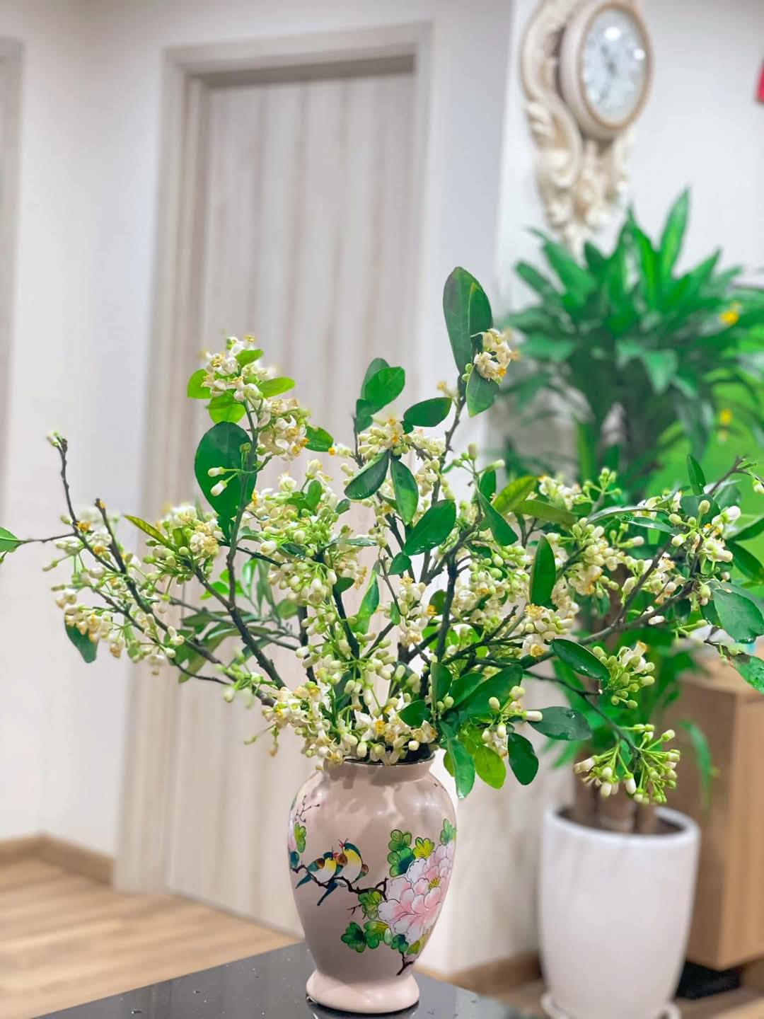 Mãn nhãn những cách cắm hoa bưởi đẹp mê li, thơm phức đầy sinh khí, giúp bạn luôn dồi dào năng lượng và vượng tài lộc- Ảnh 7.