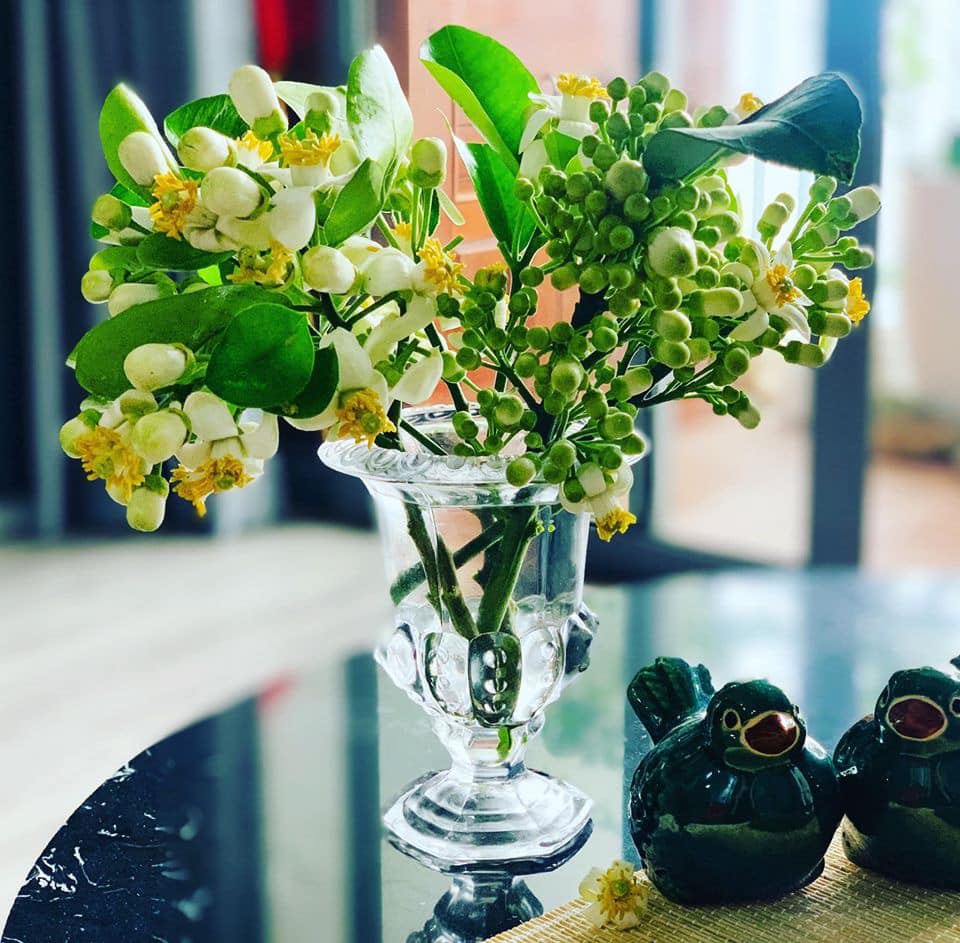 Mãn nhãn những cách cắm hoa bưởi đẹp mê li, thơm phức đầy sinh khí, giúp bạn luôn dồi dào năng lượng và vượng tài lộc- Ảnh 8.