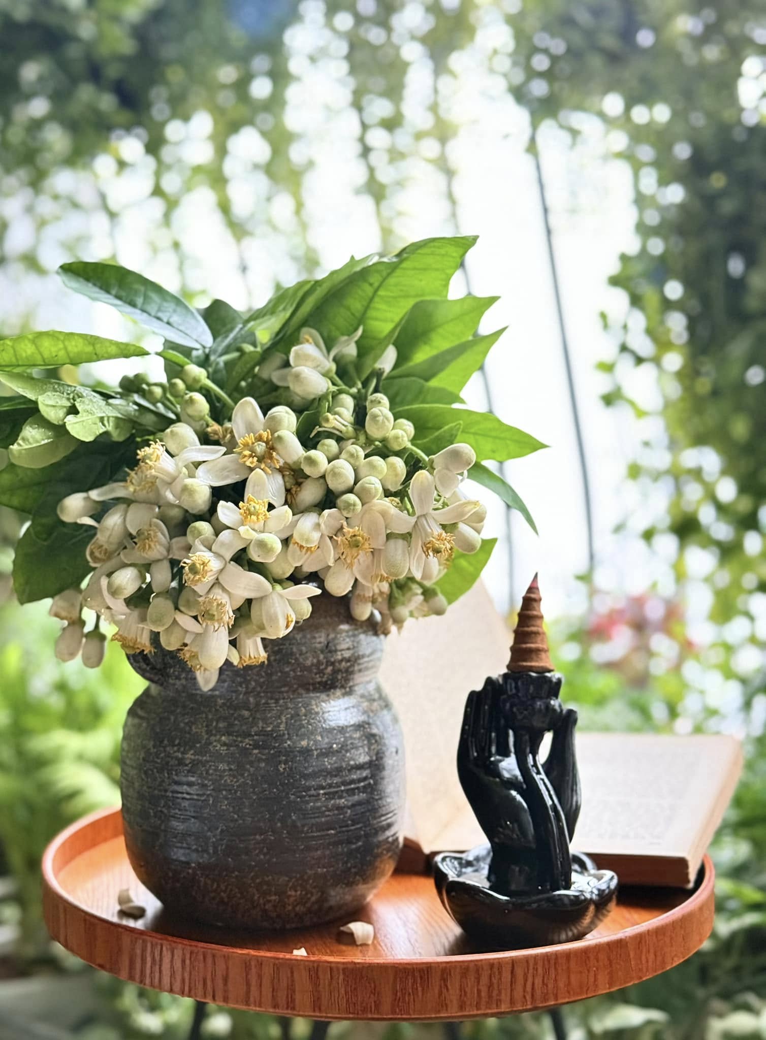 Mãn nhãn những cách cắm hoa bưởi đẹp mê li, thơm phức đầy sinh khí, giúp bạn luôn dồi dào năng lượng và vượng tài lộc- Ảnh 5.