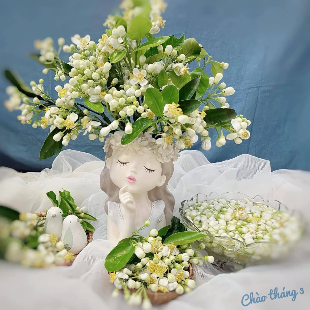 Mãn nhãn những cách cắm hoa bưởi đẹp mê li, thơm phức đầy sinh khí, giúp bạn luôn dồi dào năng lượng và vượng tài lộc- Ảnh 6.