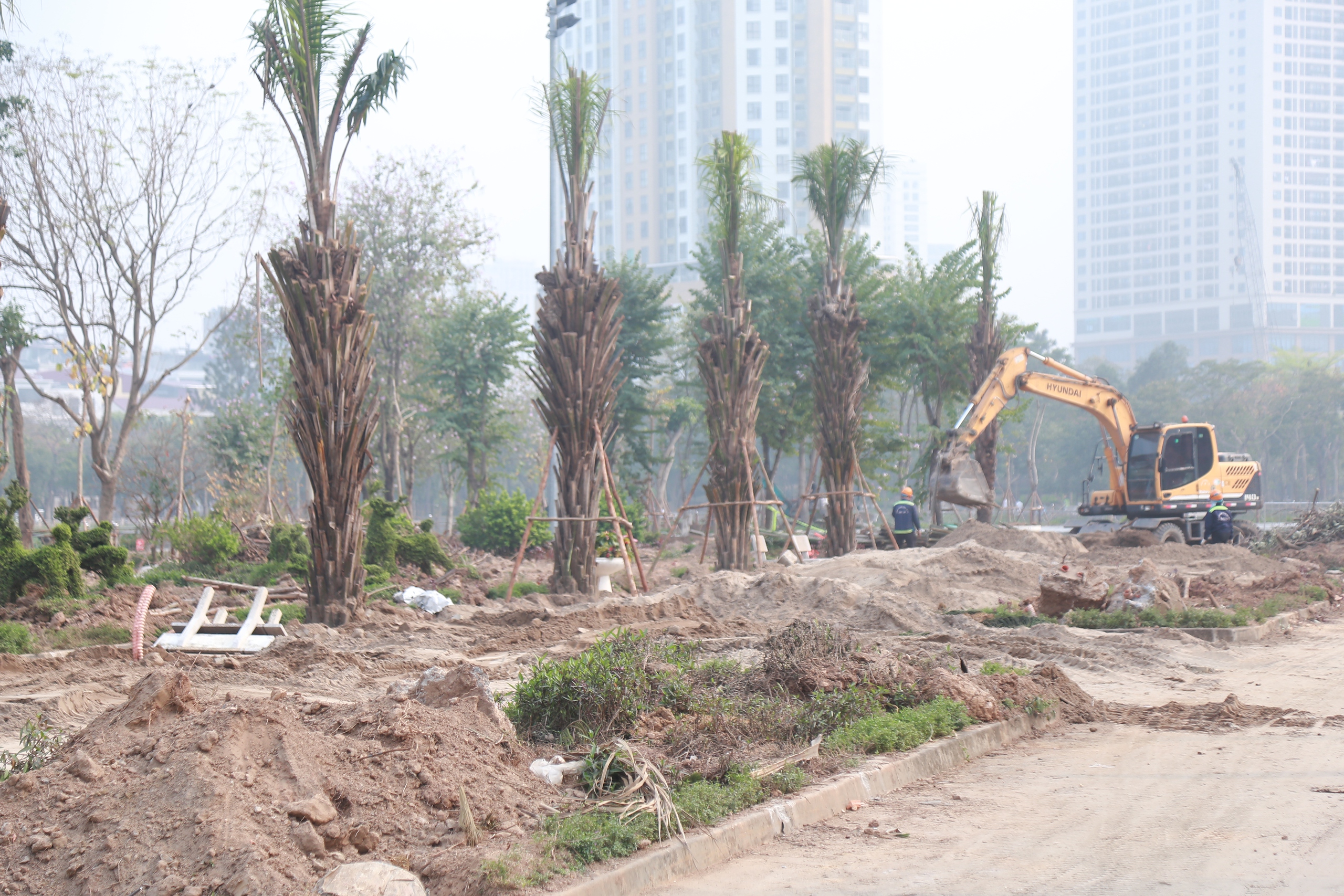 Hiện trạng 'lá phổi xanh' ở Hà Nội đang được cải tạo - Ảnh 15.