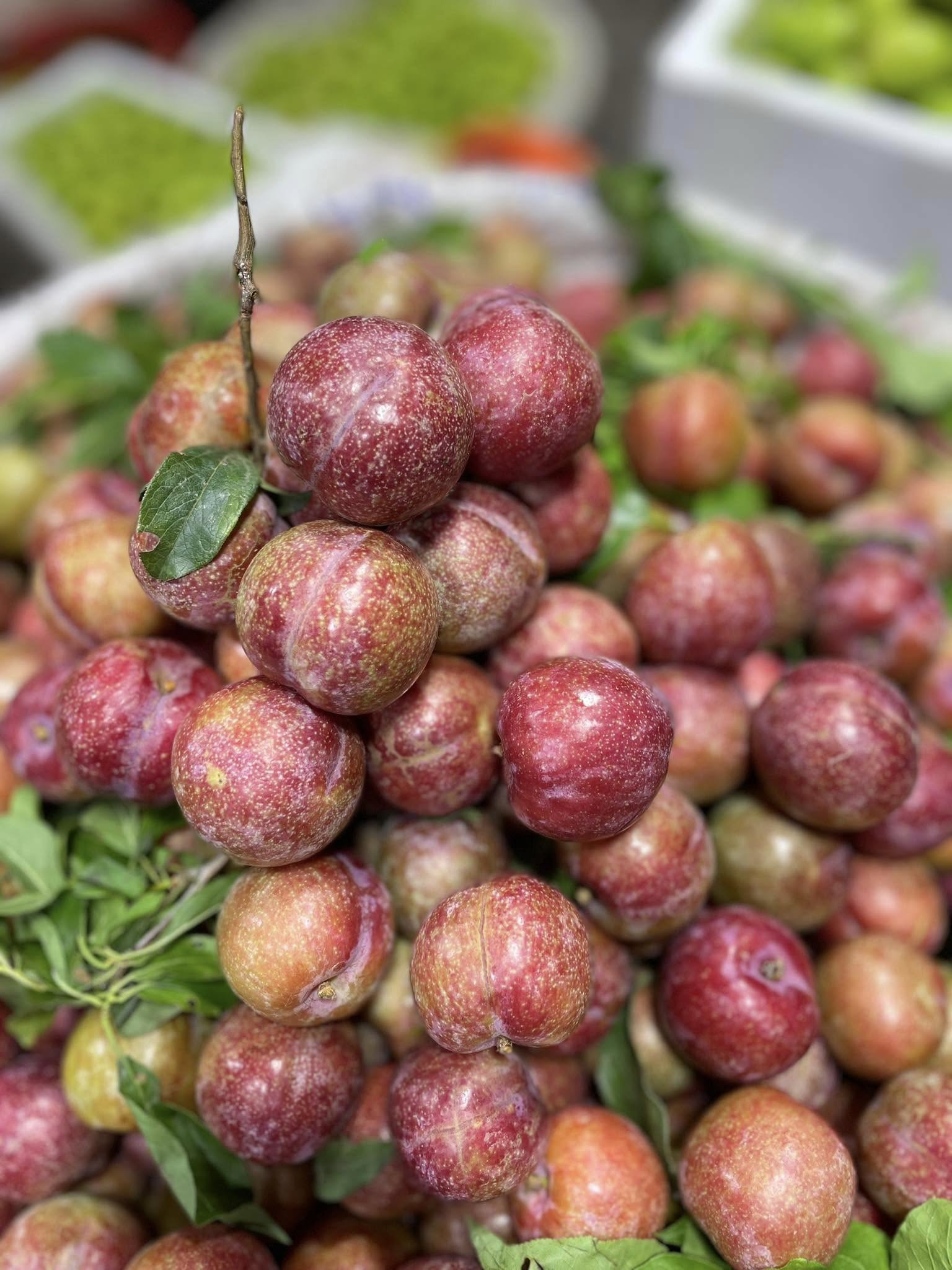Mận đầu mùa giá đắt ngang trái cây nhập khẩu nhưng các chị em vẫn sẵn sàng 'mở ví' - Ảnh 7.