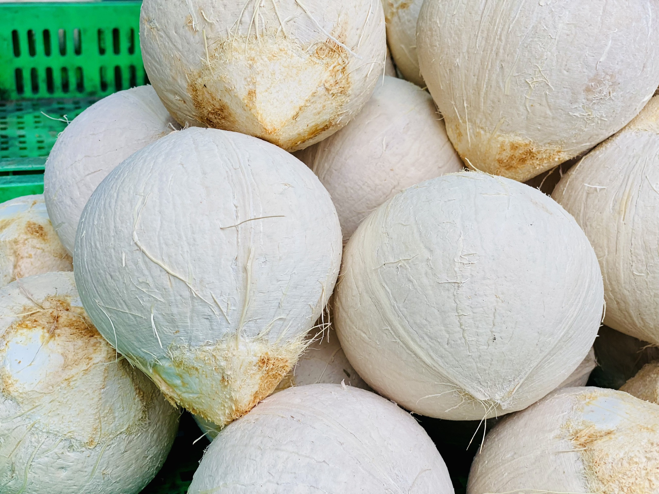 Loại quả Việt xuất khẩu tỷ USD, trong nước bán đầy vỉa hè giá hơn chục ngàn đồng/quả - Ảnh 7.