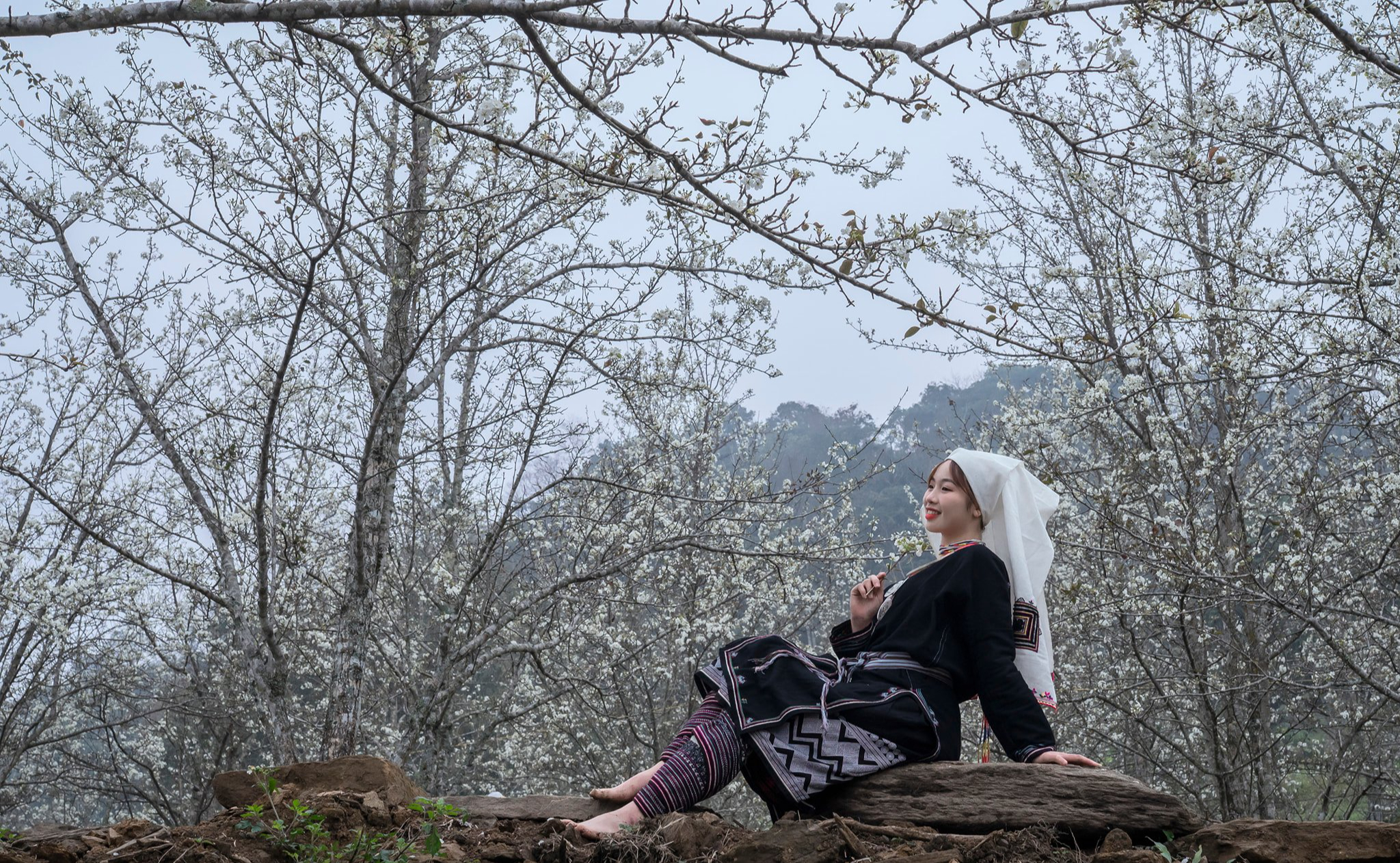 Sắp tới, người dân trên cả nước sẽ được chiêm ngưỡng tuyến đường hoa lê bung nở trắng trời - Ảnh 3. Sắp tới, người dân trên cả nước sẽ được chiêm ngưỡng tuyến đường hoa lê bung nở trắng trời - Ảnh 3.