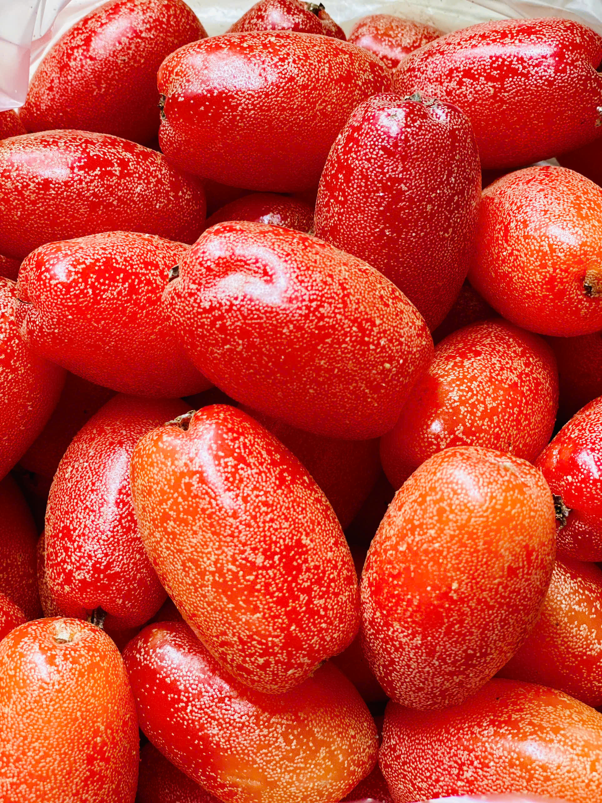 Nhót chín hạ giá, tiểu thương nhập hàng bán đầy thị trường giá vài chục nghìn đồng/kg- Ảnh 7. Nhót chín hạ giá, tiểu thương nhập hàng bán đầy thị trường giá vài chục nghìn đồng/kg- Ảnh 7.