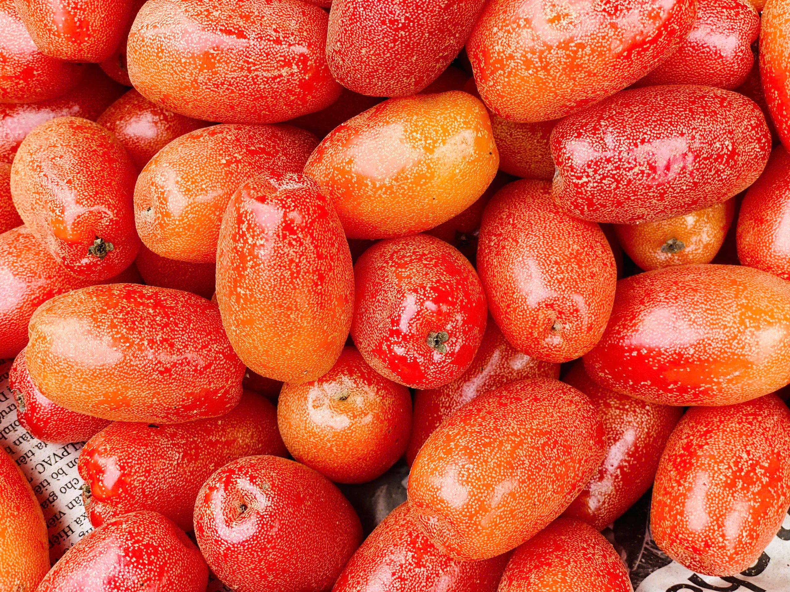 Nhót chín hạ giá, tiểu thương nhập hàng bán đầy thị trường giá vài chục nghìn đồng/kg- Ảnh 5. Nhót chín hạ giá, tiểu thương nhập hàng bán đầy thị trường giá vài chục nghìn đồng/kg- Ảnh 5.
