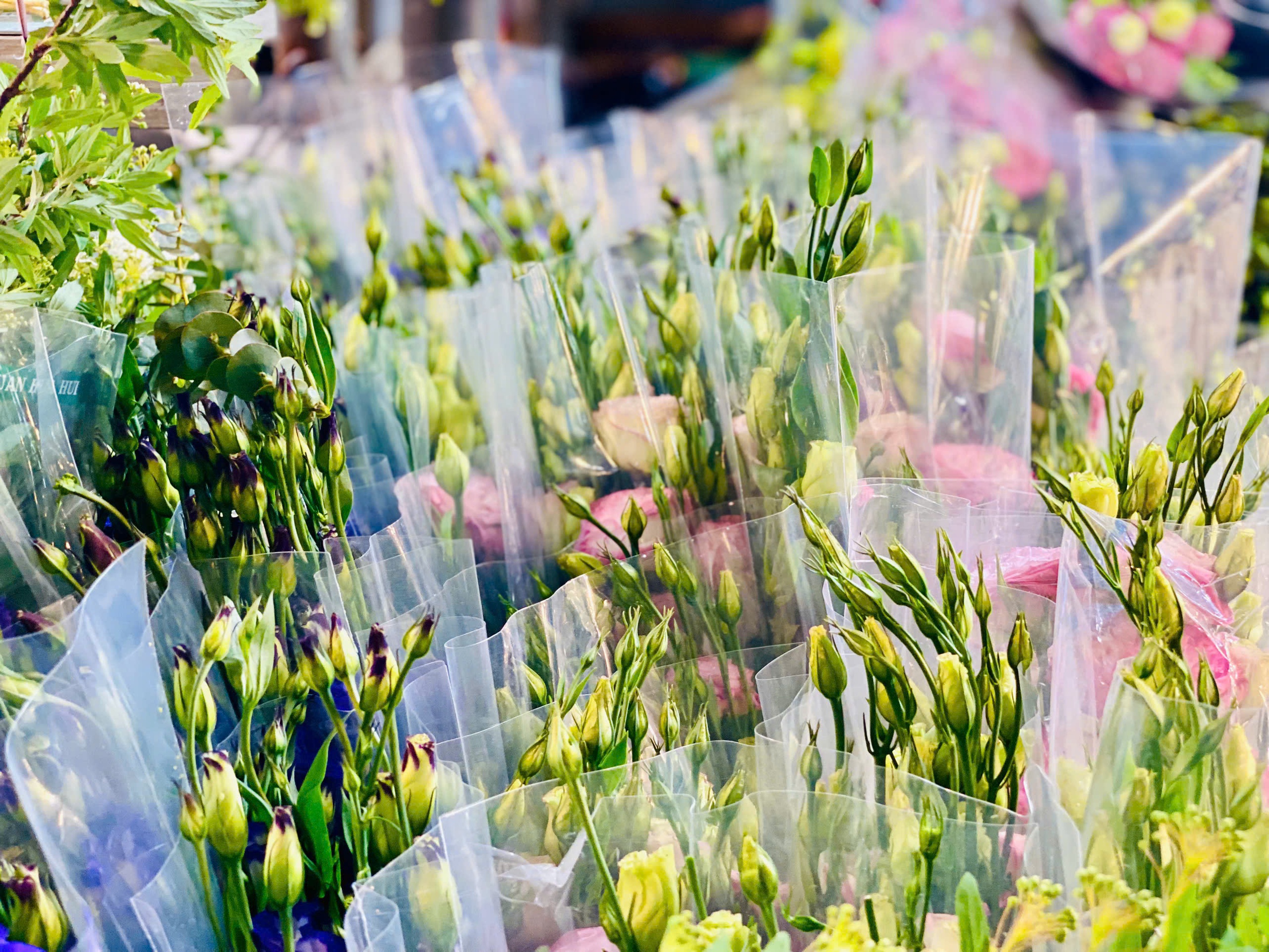 Những loại hoa ‘cháy hàng’ dịp Quốc tế Phụ nữ, giá tăng cao nhưng vẫn đắt khách - Ảnh 29.