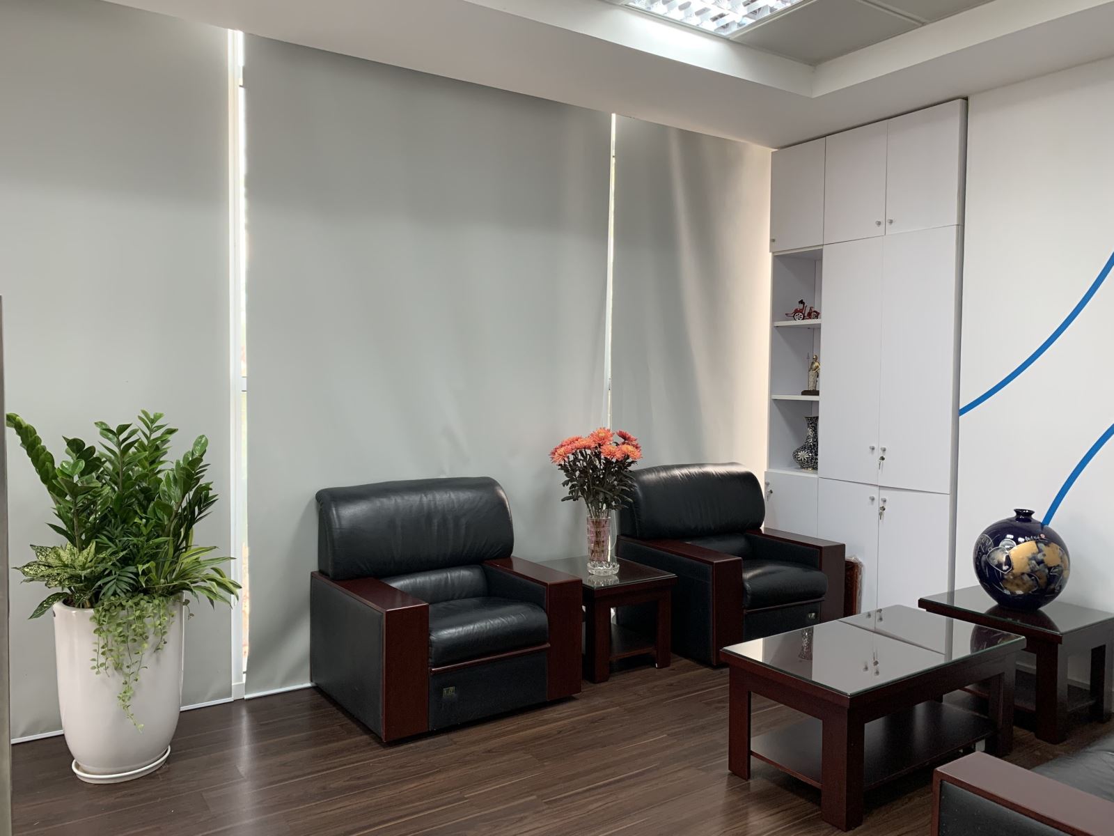 Loại cây xanh mang ý nghĩa hạnh phúc - bình an, dễ trồng dễ chăm sóc- Ảnh 9.