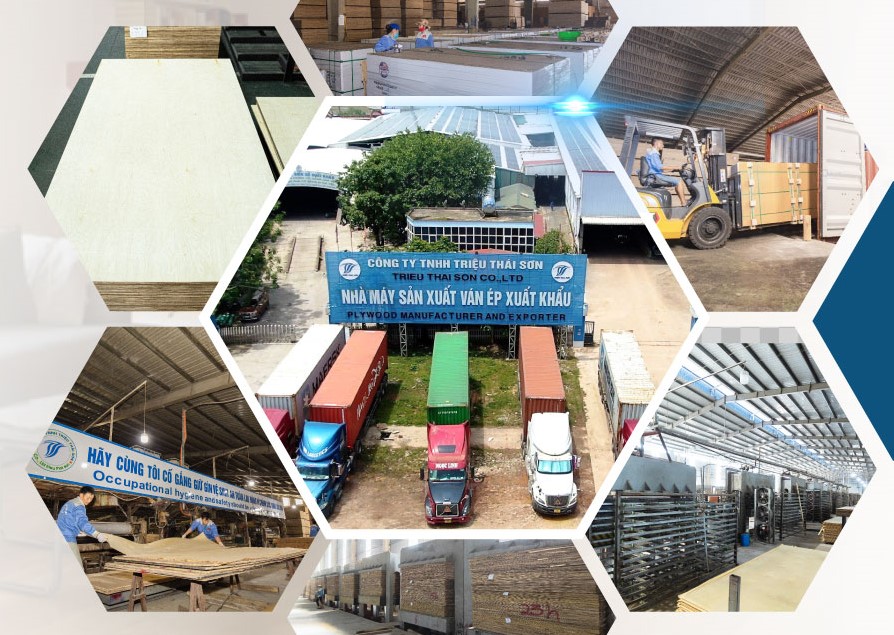 Người đưa cây keo xứ Thanh đi Mỹ, doanh thu mỗi năm hàng nghìn tỷ đồng- Ảnh 1.