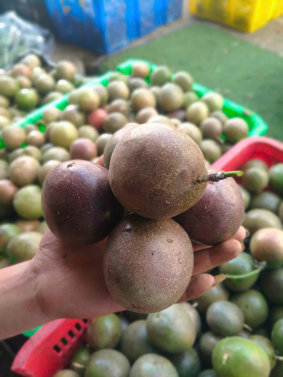 Loại quả trồng khắp Việt Nam được ví là ‘vua chất xơ’ bán đầy chợ, siêu thị giá vài chục nghìn đồng/kg- Ảnh 8.