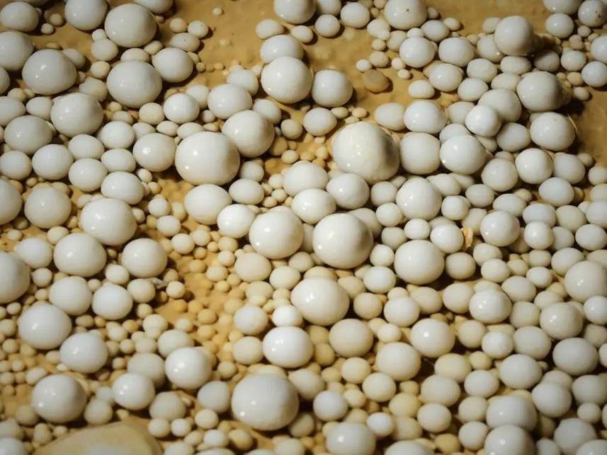 Đang đào mương dẫn nước, 'kho báu' 480 triệu năm tuổi bất ngờ lộ diện: kì quan có 1-0-2 ở Trung Quốc - Ảnh 5. Đang đào mương dẫn nước, 'kho báu' 480 triệu năm tuổi bất ngờ lộ diện: kì quan có 1-0-2 ở Trung Quốc - Ảnh 5.