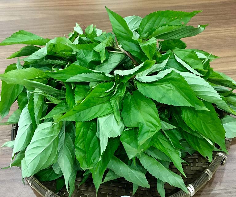 2 loại rau ít 'ngậm' thuốc trừ sâu nhất chợ, thải độc cơ thể, có chất hỗ trợ giảm nguy cơ gây ung thư, mùa này nên ăn nhiều- Ảnh 10.