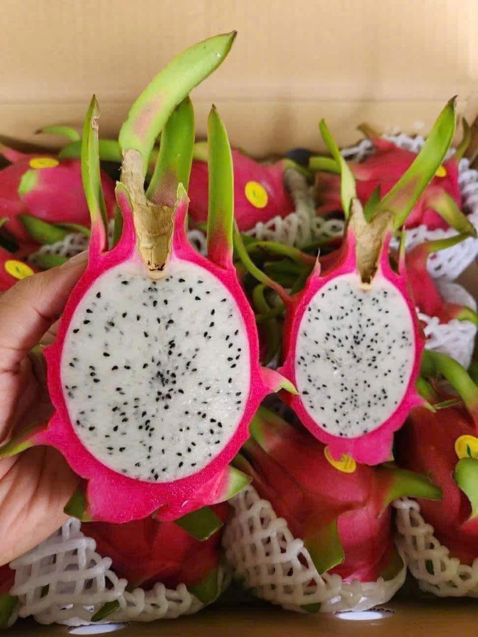 Loại quả Việt xuất khẩu tỷ USD bán đầy thị trường trong nước mức giá 'siêu' rẻ- Ảnh 7.