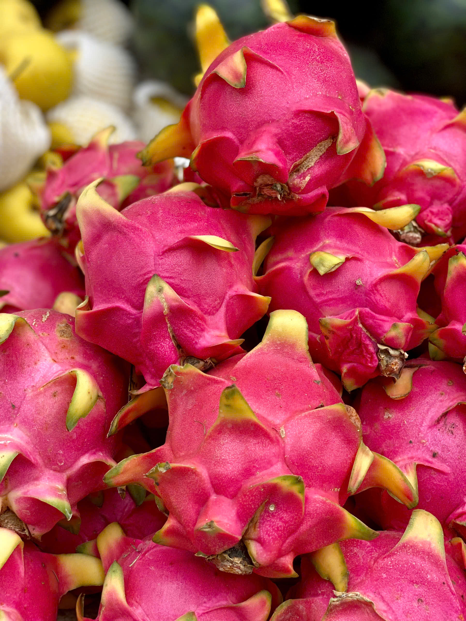 Loại quả Việt xuất khẩu tỷ USD bán đầy thị trường trong nước mức giá 'siêu' rẻ- Ảnh 6.