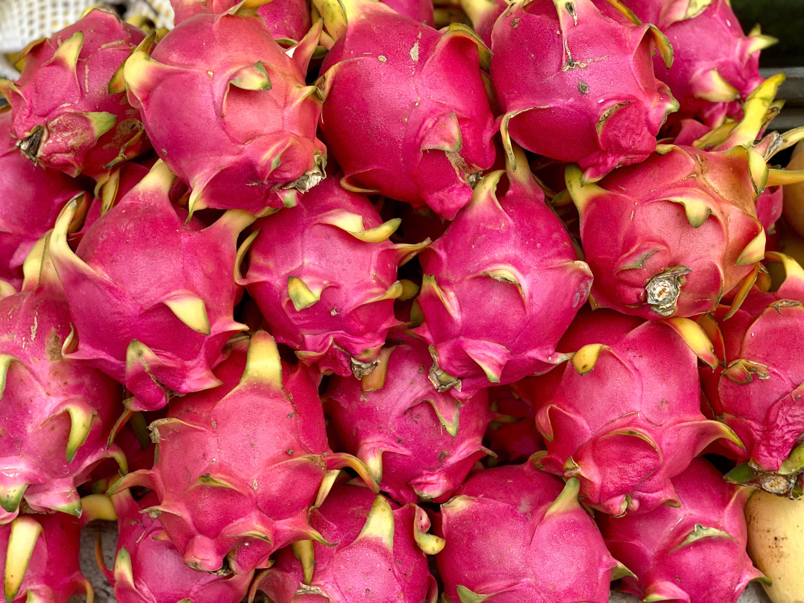 Loại quả Việt xuất khẩu tỷ USD bán đầy thị trường trong nước mức giá 'siêu' rẻ- Ảnh 1.