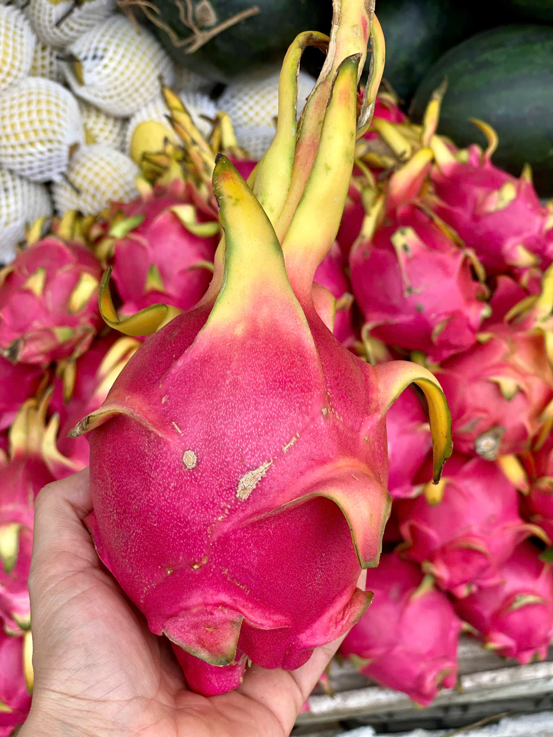 Loại quả Việt xuất khẩu tỷ USD bán đầy thị trường trong nước mức giá 'siêu' rẻ- Ảnh 8.