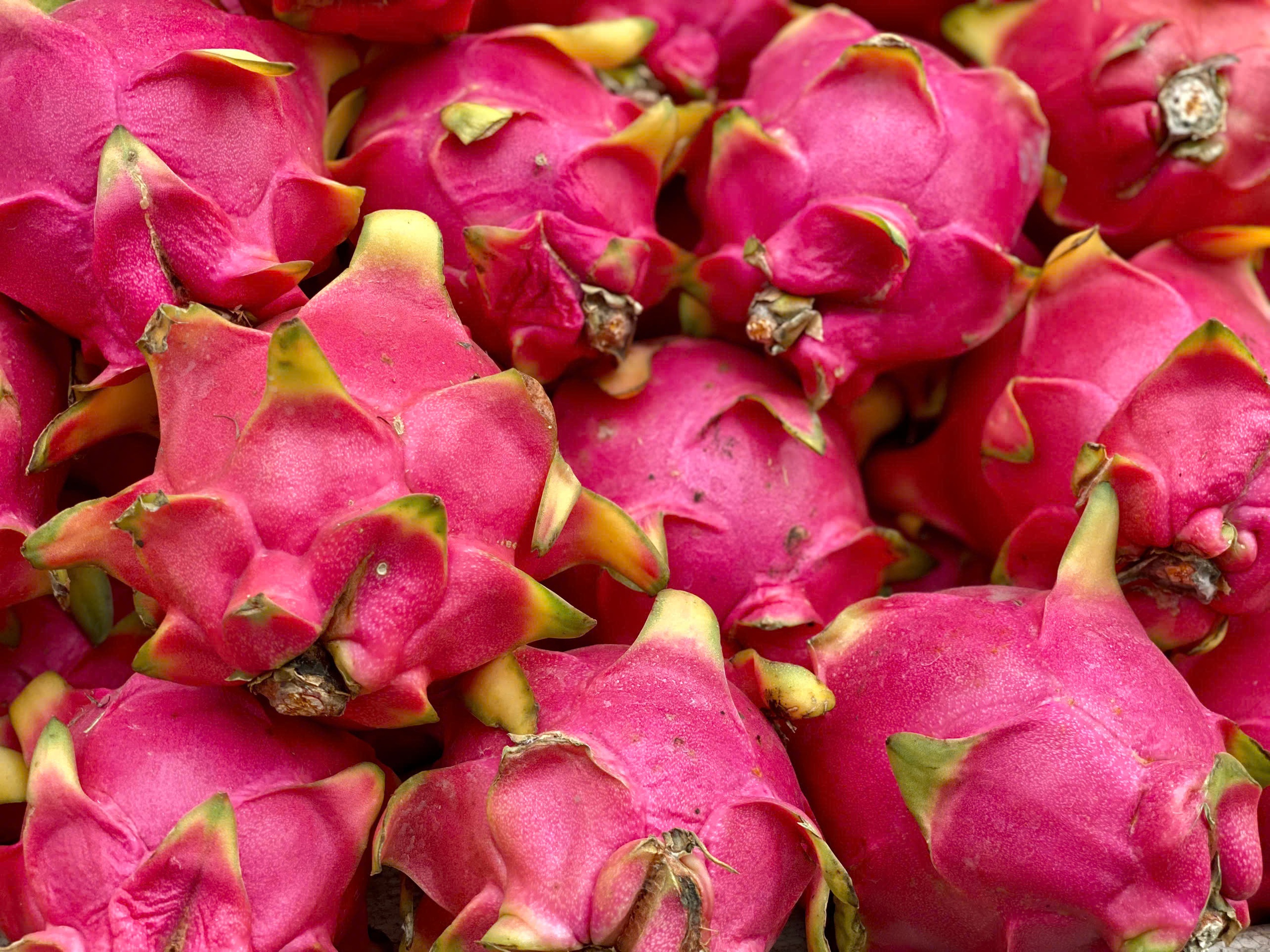 Loại quả Việt xuất khẩu tỷ USD bán đầy thị trường trong nước mức giá 'siêu' rẻ- Ảnh 4.