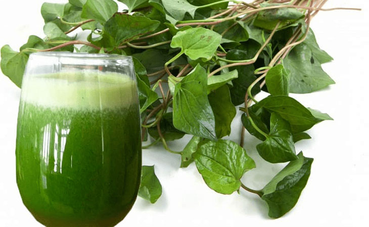 Các loại nước uống thanh nhiệt mát gan cực tốt- Ảnh 5.