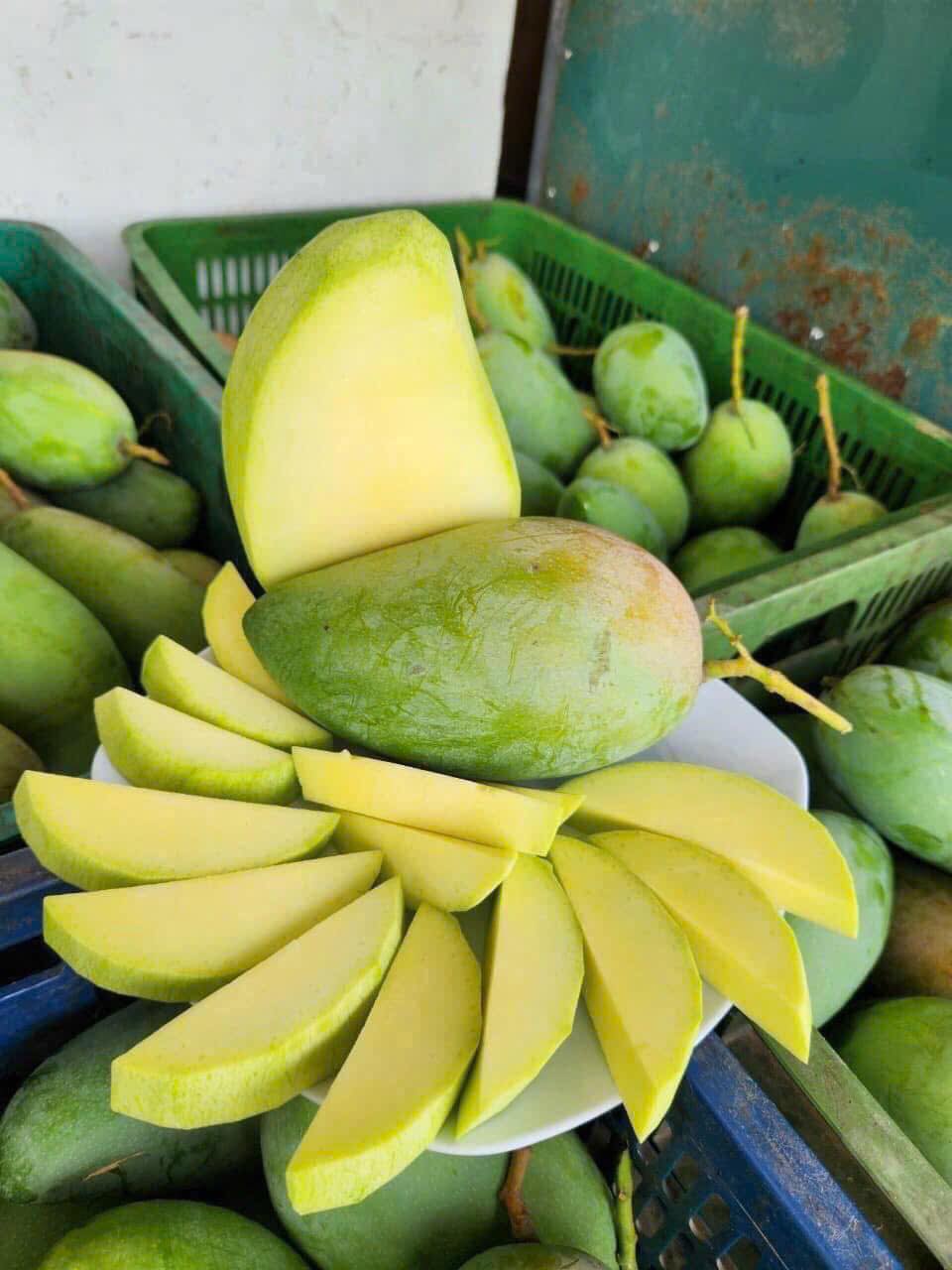 Xoài hạt lép bán đầy thị trường giá hơn chục nghìn/kg, tiểu thương tiêu thụ vài tạ mỗi ngày - Ảnh 8. Xoài hạt lép bán đầy thị trường giá hơn chục nghìn/kg, tiểu thương tiêu thụ vài tạ mỗi ngày - Ảnh 8.