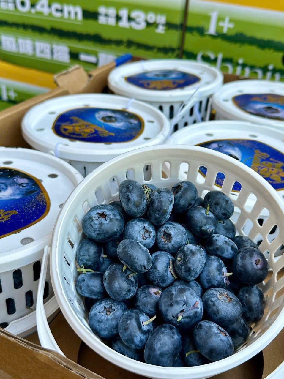 Việt quất giá rẻ đổ bộ thị trường, từ giá tiền triệu nay chỉ còn vài trăm nghìn/kg - Ảnh 2.