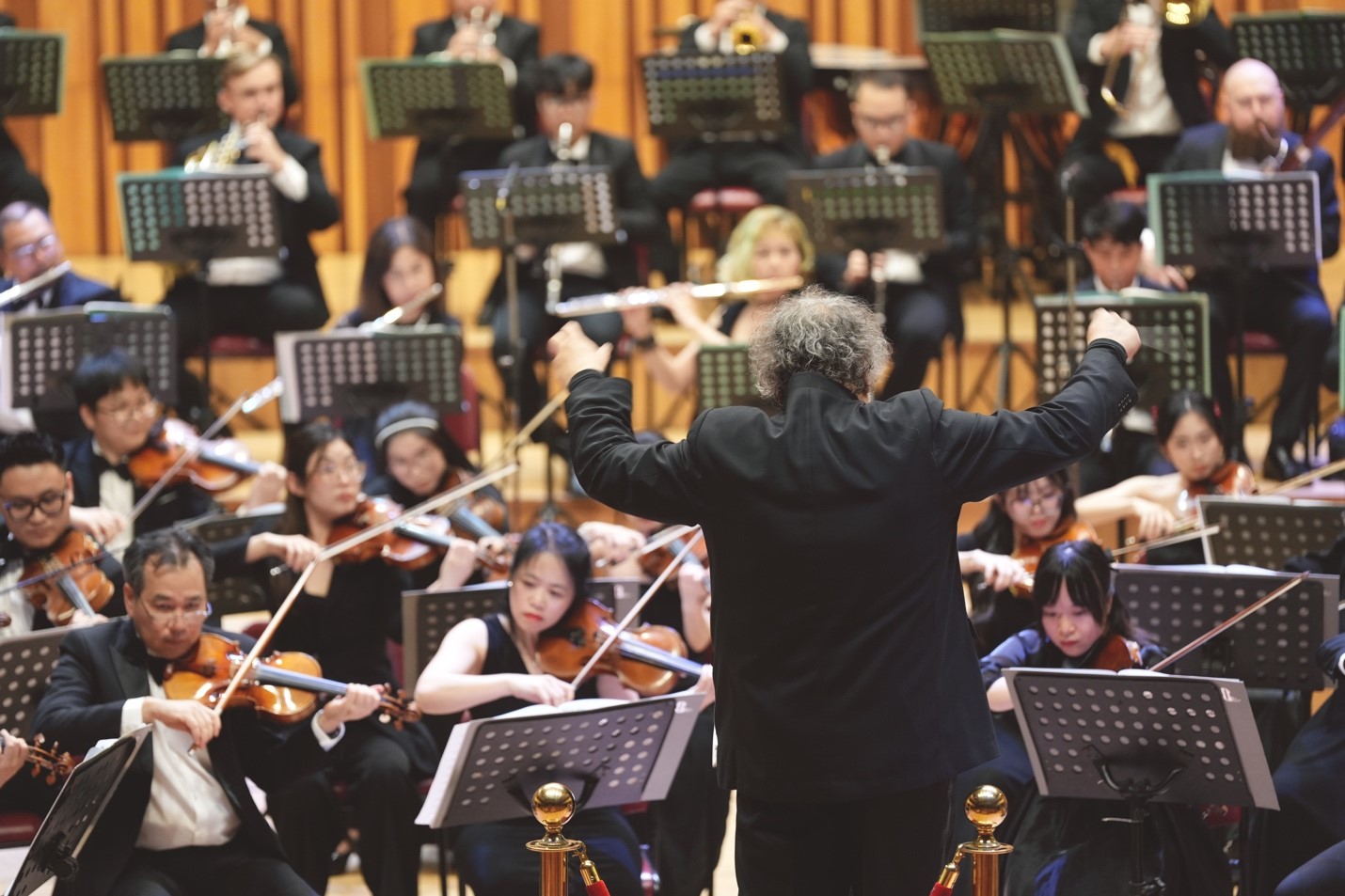 Tchaikovsky Night: Khi âm nhạc chạm tới trái tim- Ảnh 4.
