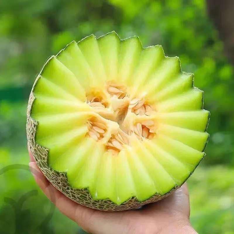 5 thực phẩm mọng nước giúp giải nhiệt, hết mệt mùa hè- Ảnh 4.