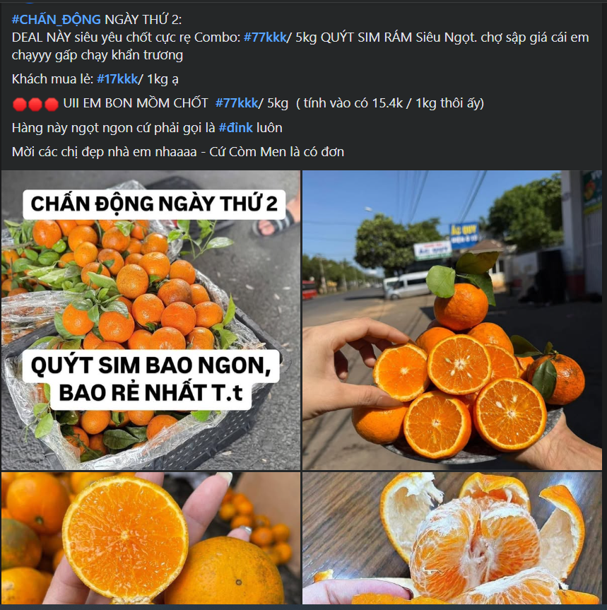 Quýt sim cuối vụ giá hơn 10.000 đồng/kg luôn 'hút khách', tiểu thương đua nhau nhập hàng - Ảnh 1.