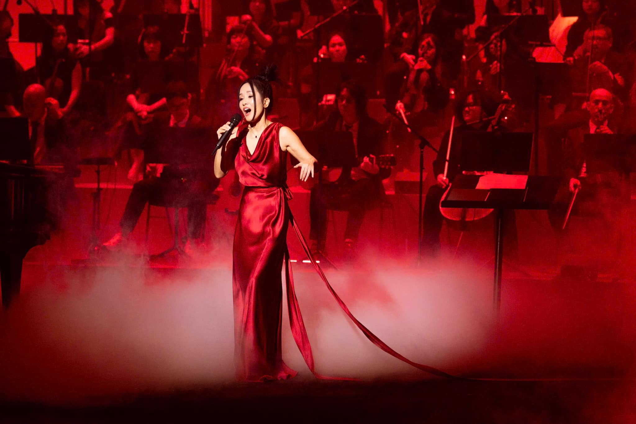 Thông tin mới nhất về Diva Hồng Nhung sau điều trị ung thư: Xuất hiện đầy lạc quan, người hâm mộ bày tỏ mong muốn một điều- Ảnh 10.