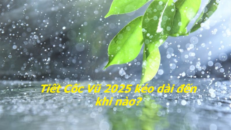 Tiết Cốc Vũ năm 2025 khi nào? 3 điều đại kỵ lưu ý trong không gian sống để tránh tán tài tán lộc- Ảnh 3.