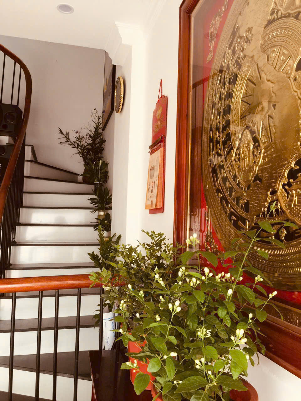 Cây cảnh đặt ở bậc cầu thang cho các mệnh Kim, Mộc, Thủy, Hỏa, Thổ- Ảnh 3.