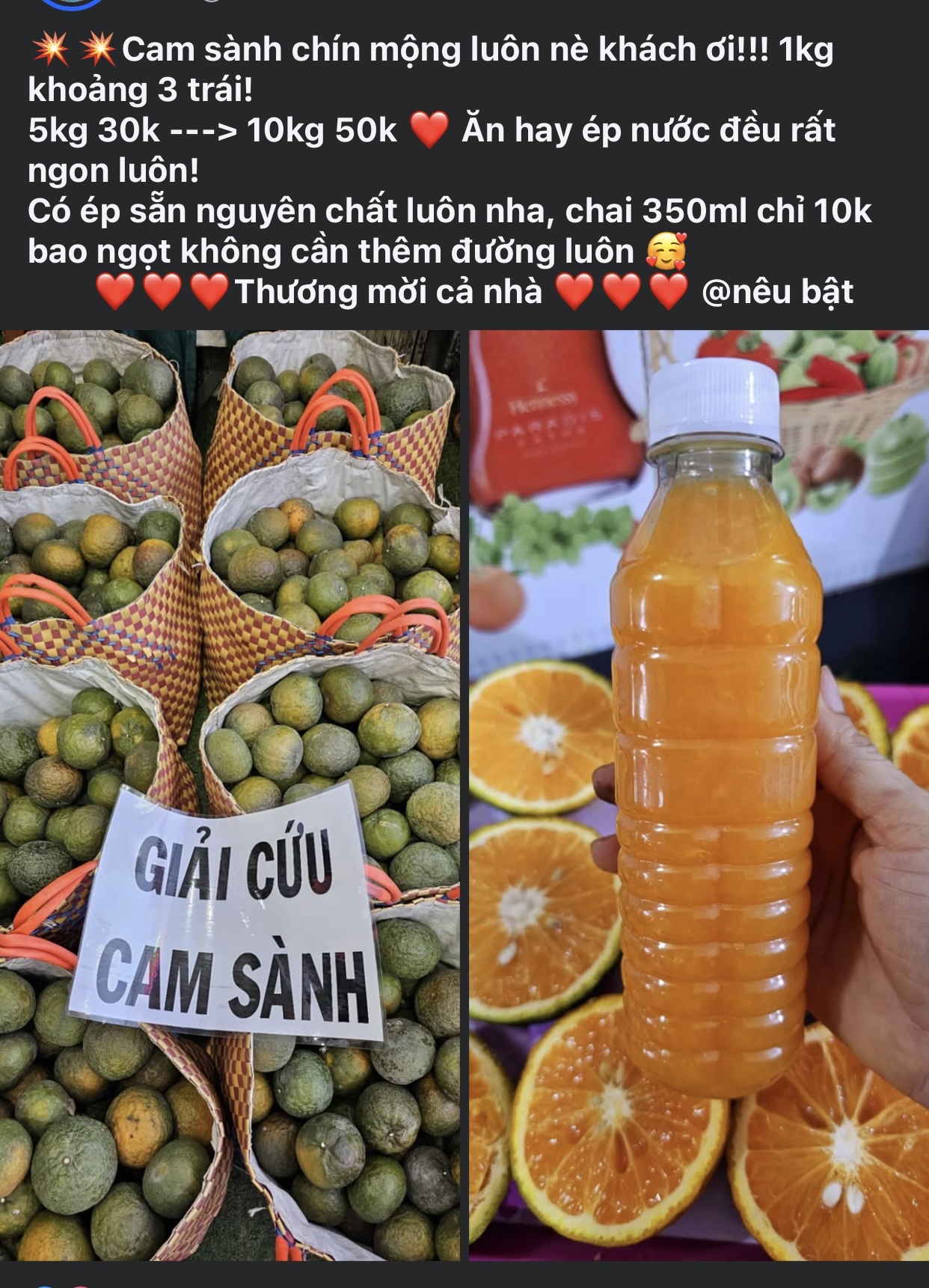 Loại quả giúp tăng đề kháng bán đầy chợ Việt giá chỉ còn hơn chục nghìn đồng/kg- Ảnh 2.