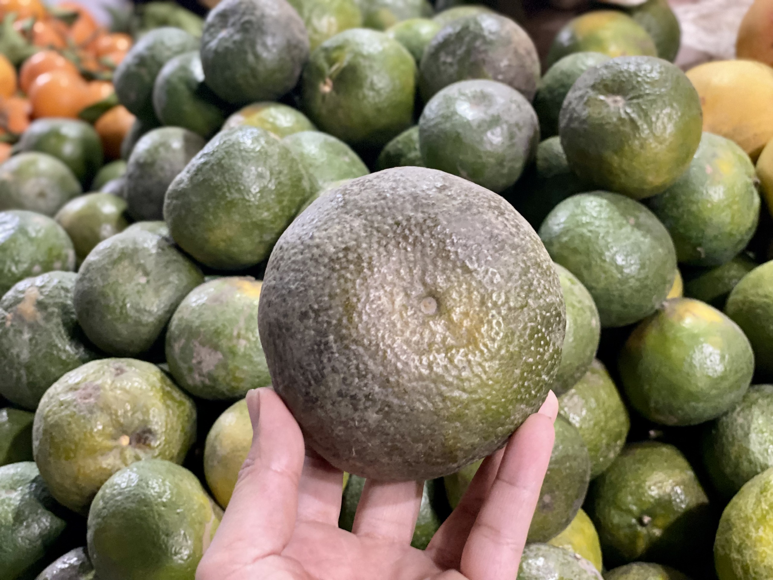 Loại quả giúp tăng đề kháng bán đầy chợ Việt giá chỉ còn hơn chục nghìn đồng/kg- Ảnh 8.