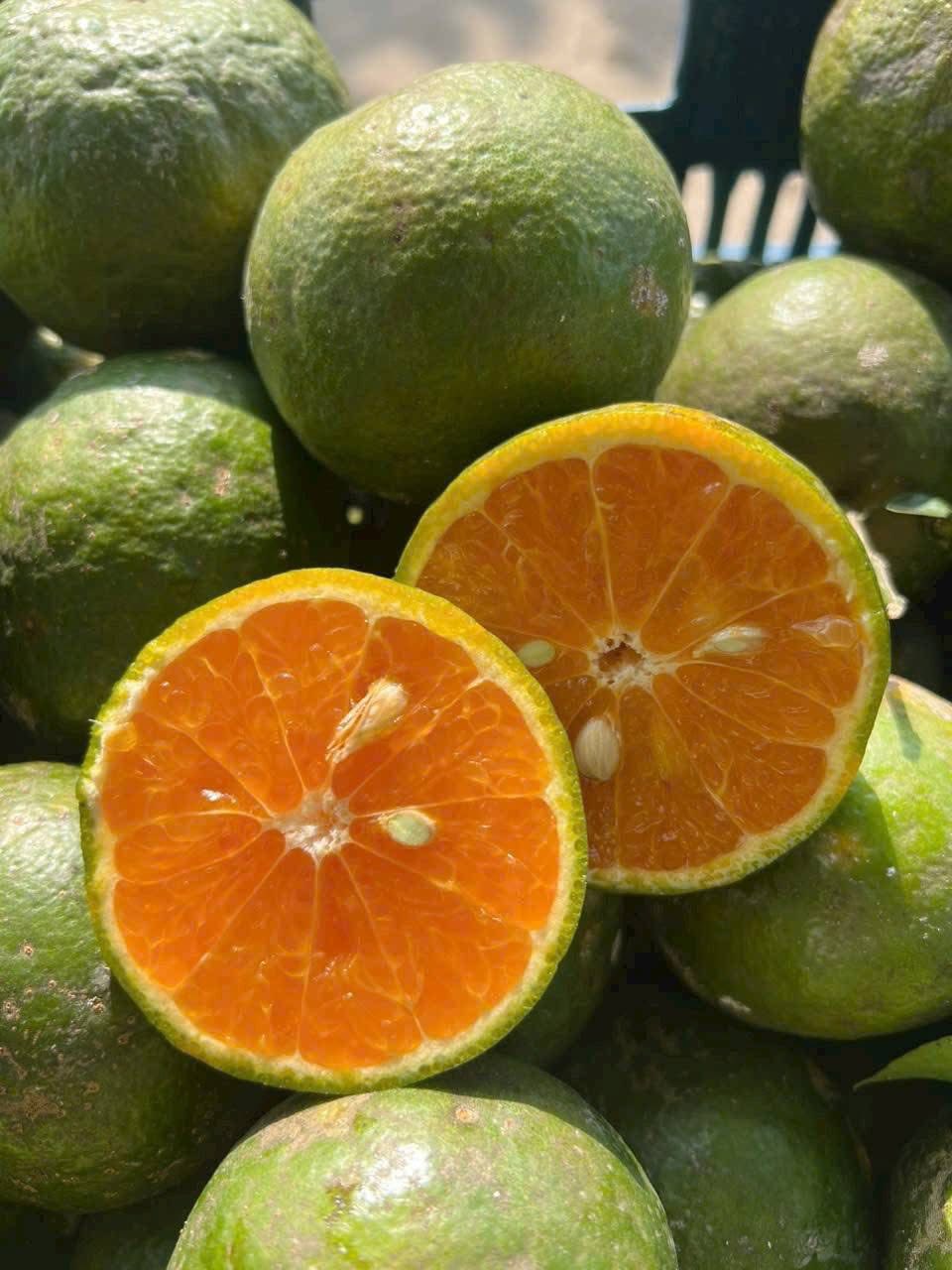 Loại quả giúp tăng đề kháng bán đầy chợ Việt giá chỉ còn hơn chục nghìn đồng/kg- Ảnh 9.