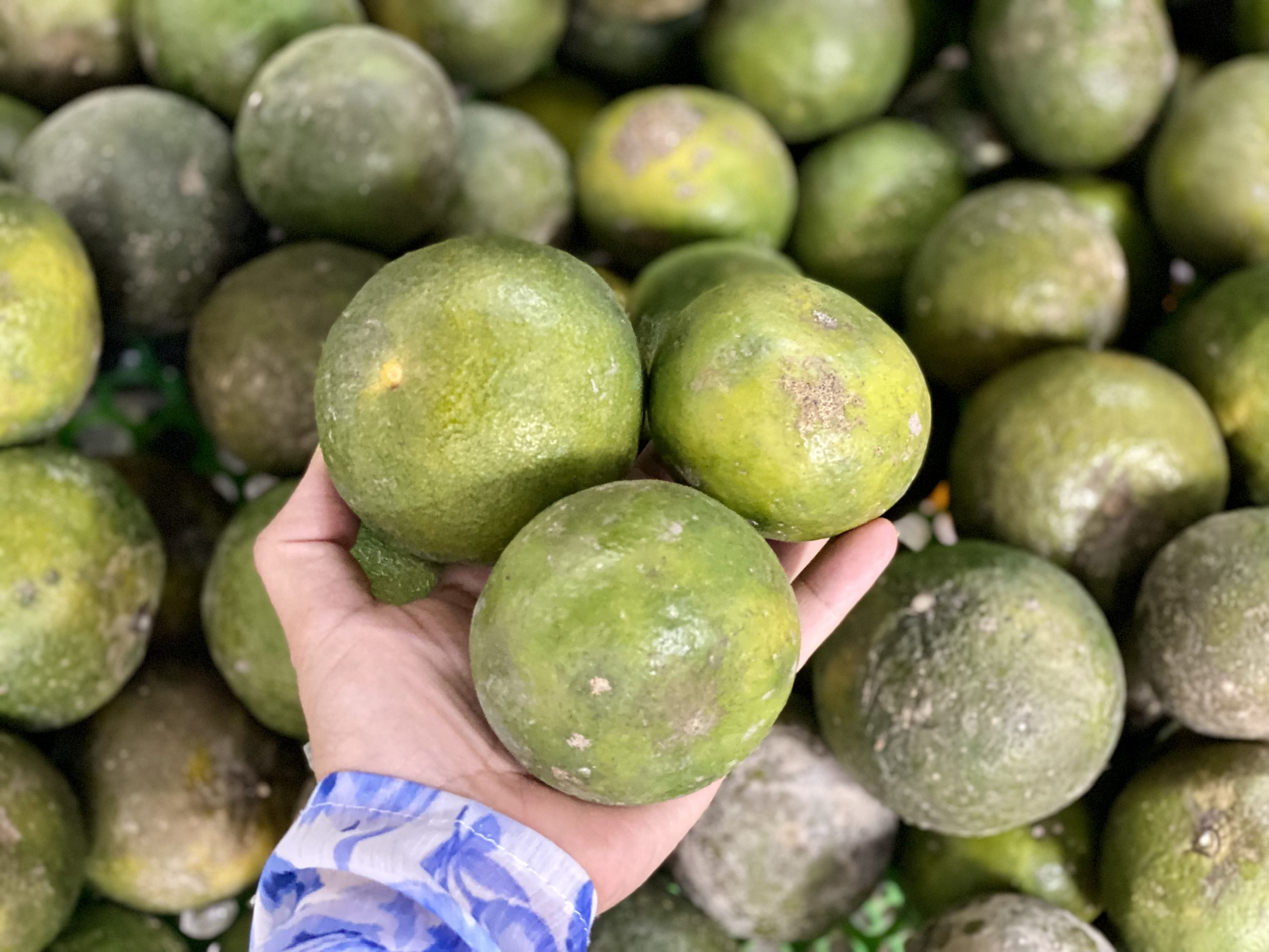 Loại quả giúp tăng đề kháng bán đầy chợ Việt giá chỉ còn hơn chục nghìn đồng/kg- Ảnh 6.