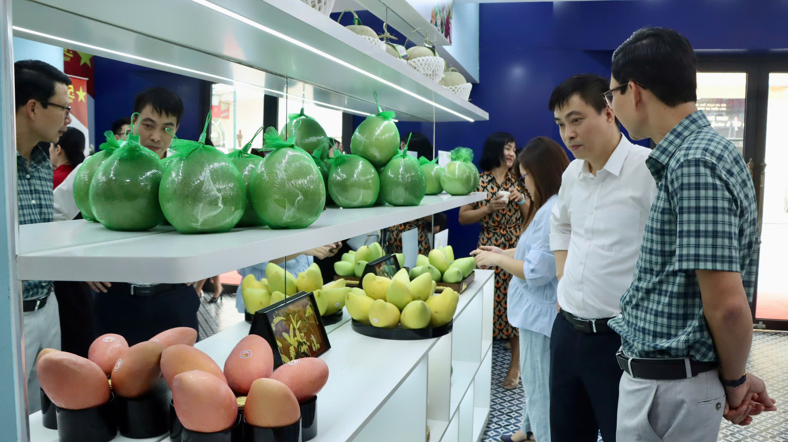  Người tiêu dùng dễ dàng nhận diện trái cây Việt ‘chuẩn’ chỉ bằng một thao tác trên điện thoại - Ảnh 2.