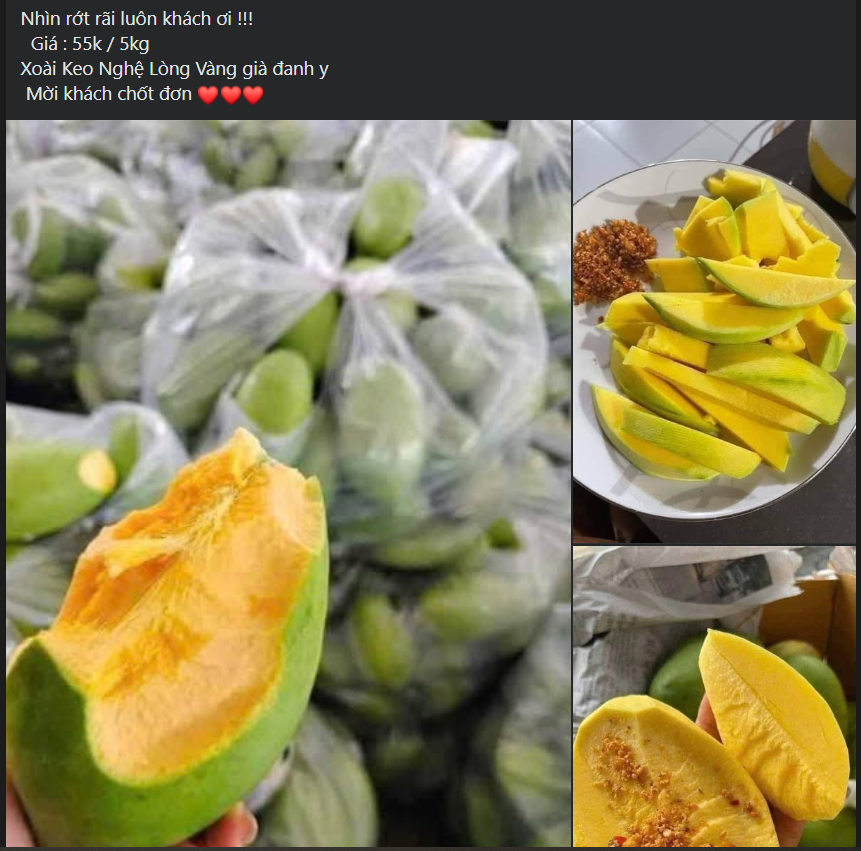 Xoài vào mùa giảm giá sâu, bán tràn ngập thị trường chỉ hơn chục nghìn đồng/kg - Ảnh 6.